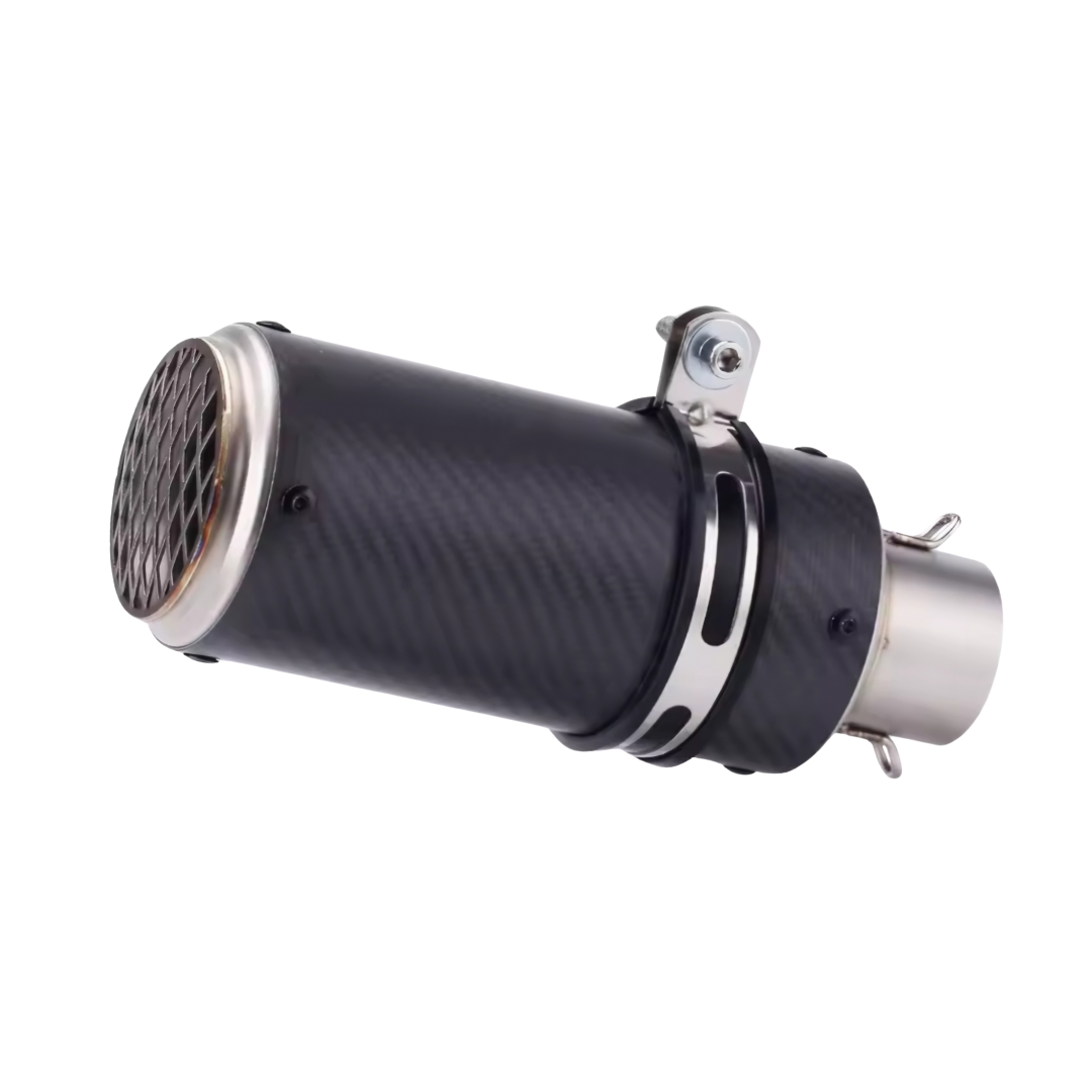 Escape completo BMW G310R / G310GS 2017-2025